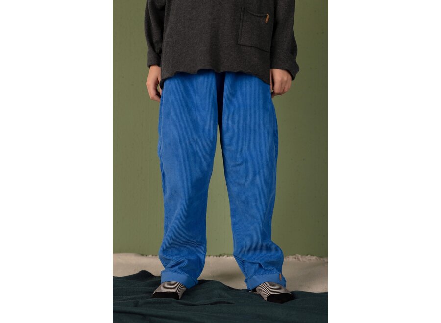 Stic corduroy pants - Cool