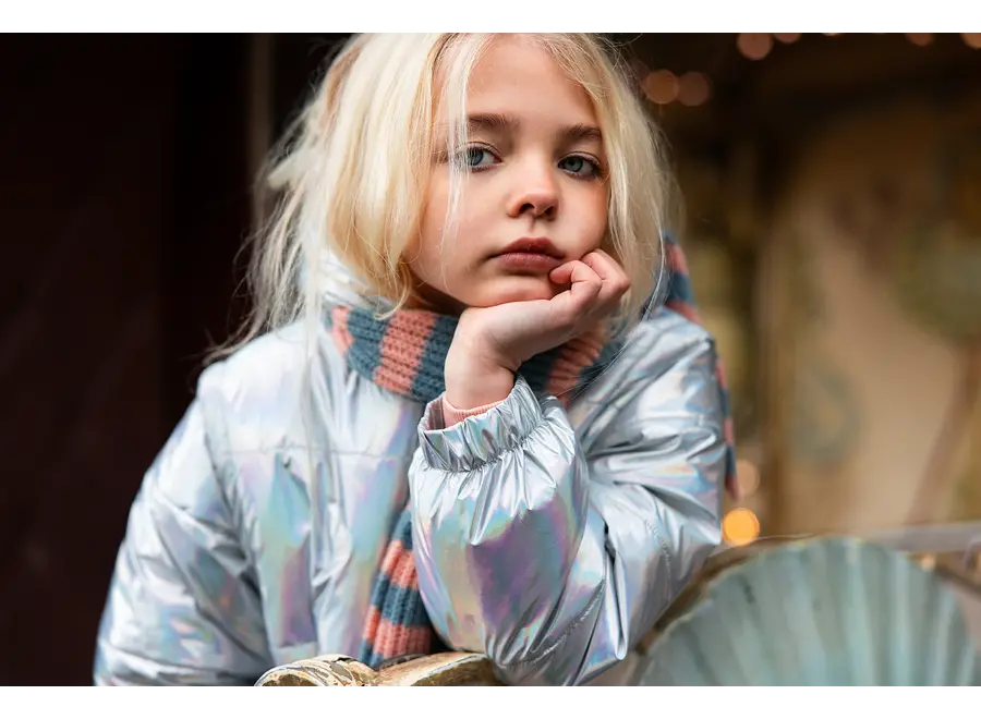 Sylver nylon jacket - Silver