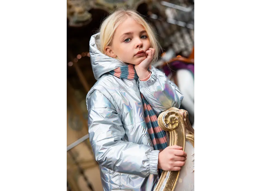 Sylver nylon jacket - Silver