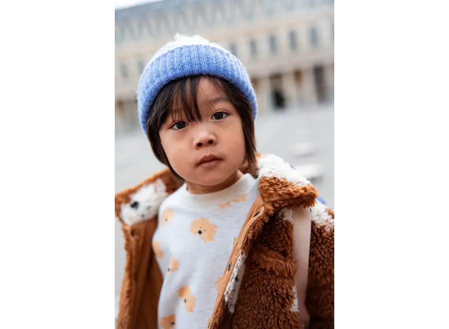 Teddy shirt jacket - Dog print