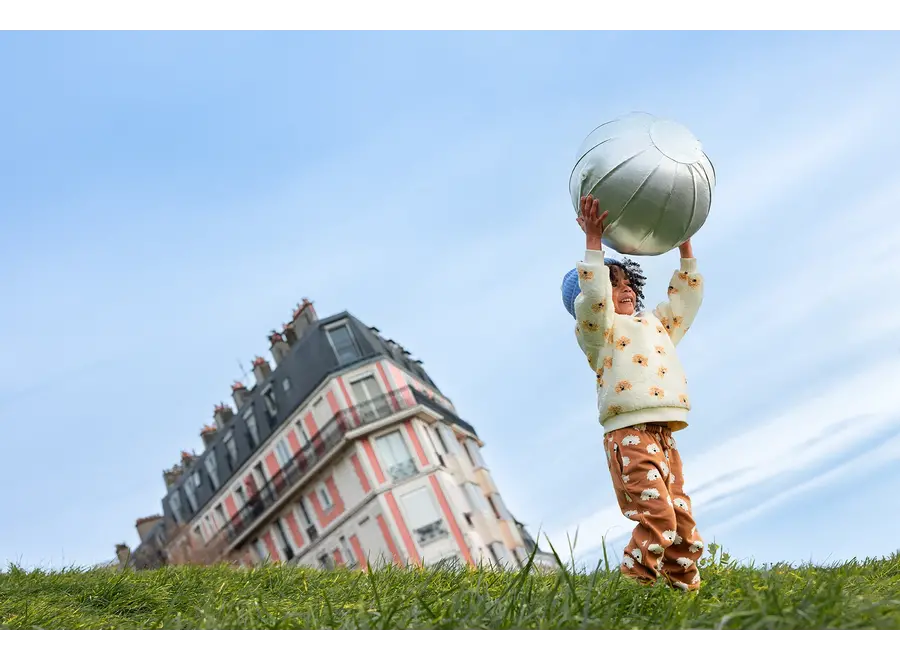 Teddy mock zip dog print - Ivory