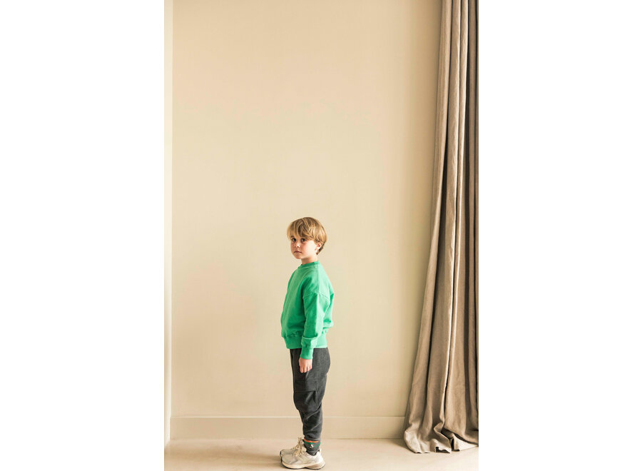 Art bird sweater - Fresh green