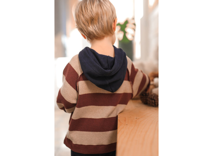 Jakob hooded sweater - Melanzana