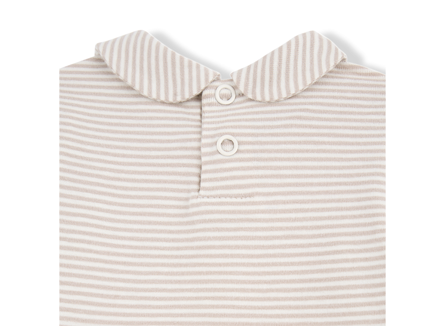 Lourdes collar body - Beige stripe