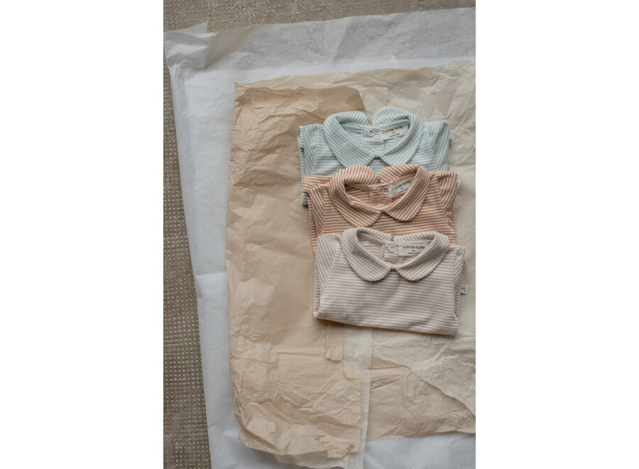 Lourdes collar body - Beige stripe