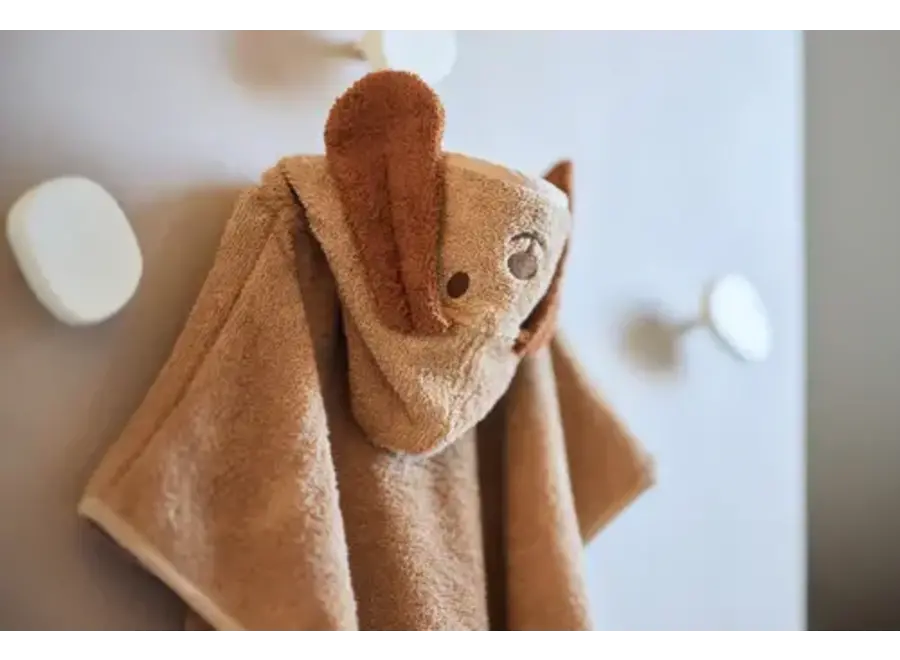 Badponcho - Diego dog