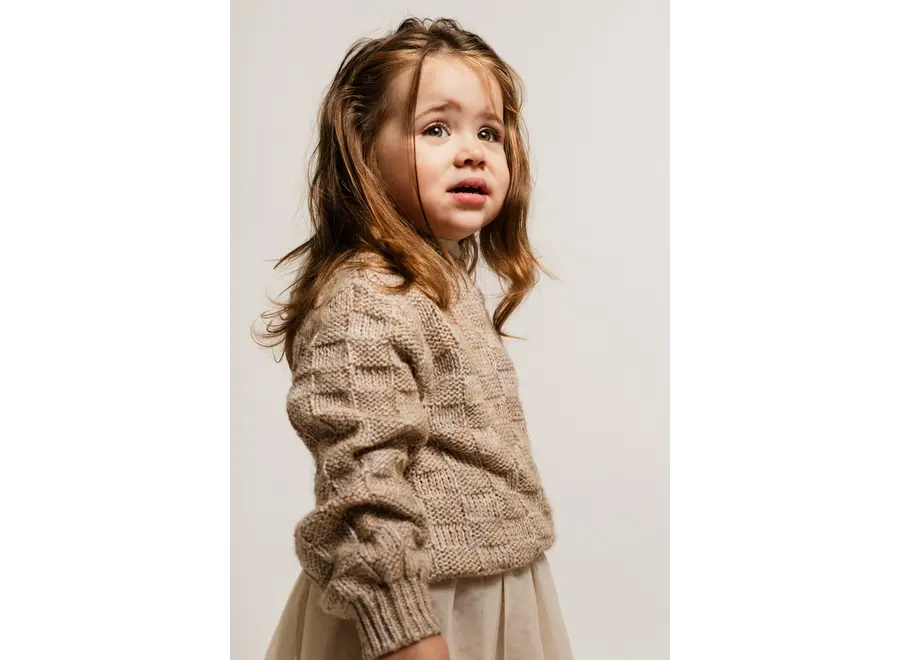 Velan knit sweater - Sand multicolor