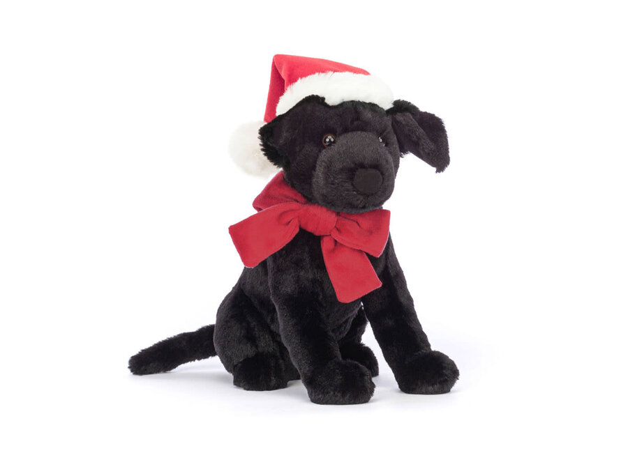 Winter warmer pippa labrador