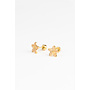 Studs earrings - Golden flora