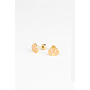 Studs earrings - Golden shell