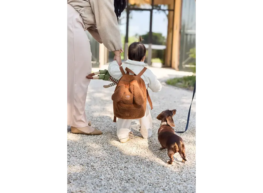 Rugtasje - Diego dog