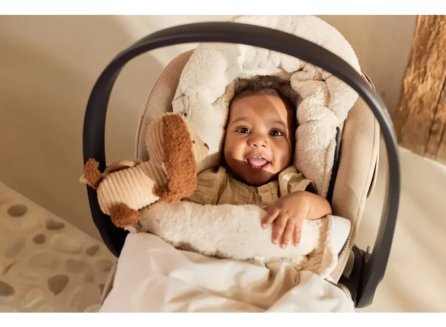 Wagenhanger - Diego dog