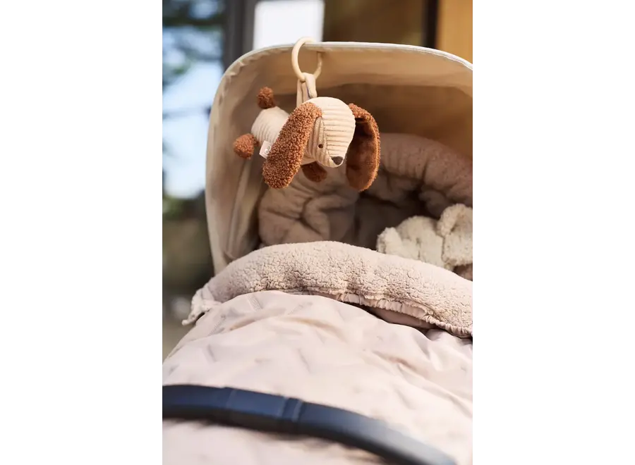 Wagenhanger - Diego dog