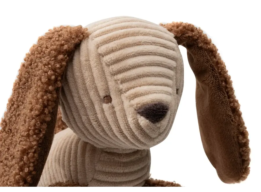 Wagenhanger - Diego dog