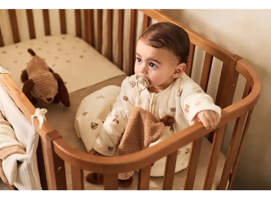 Speendoekje - Diego dog