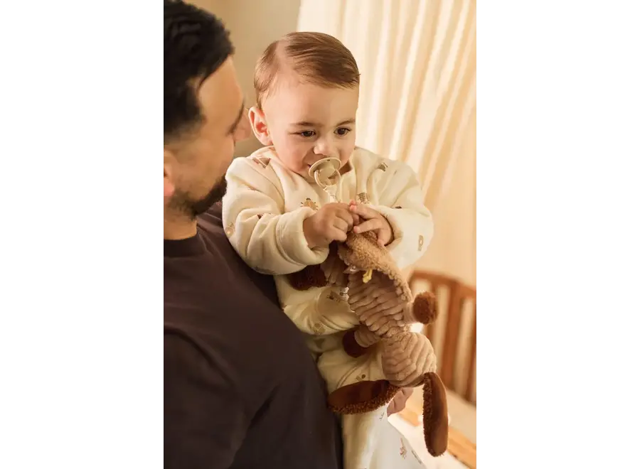 Speendoekje - Diego dog