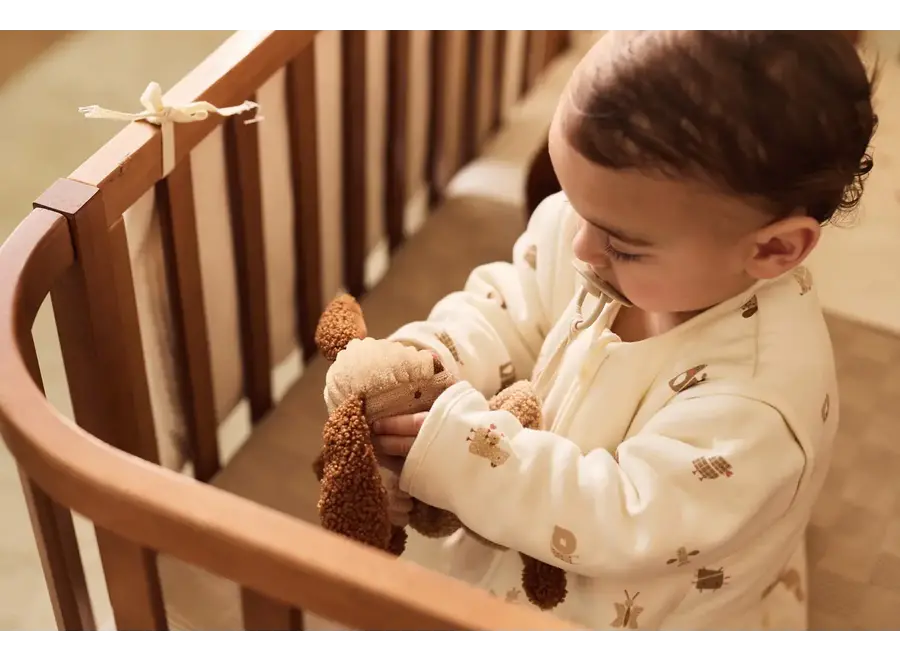 Speendoekje - Diego dog