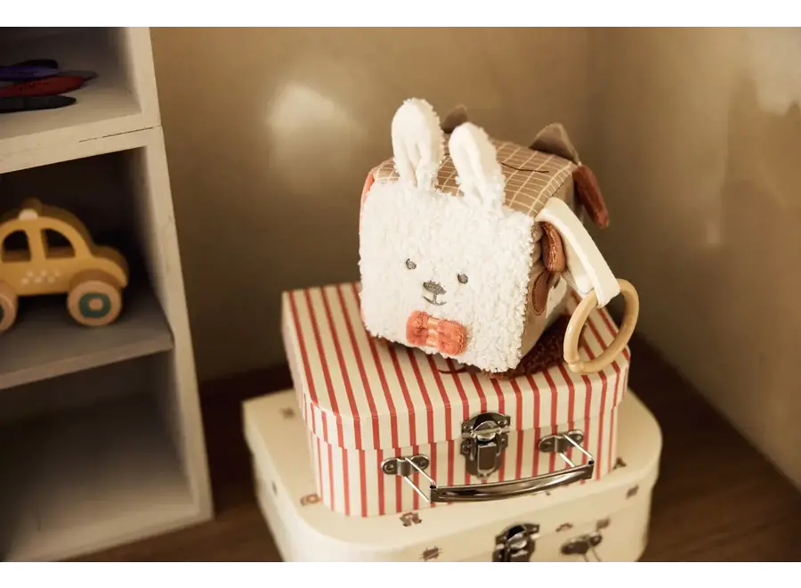 Activiteitenkubus - Animal friends