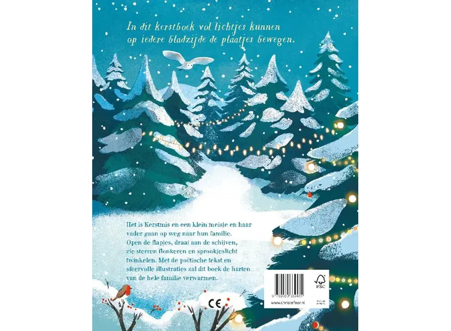 Kerstlichtjes
