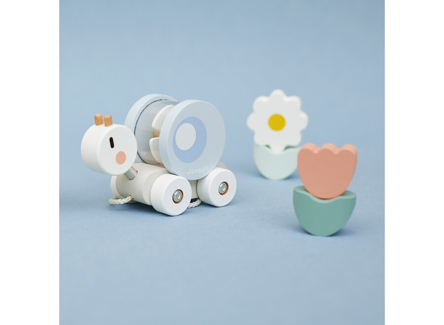 Sweet cocoon - De slakkentrein