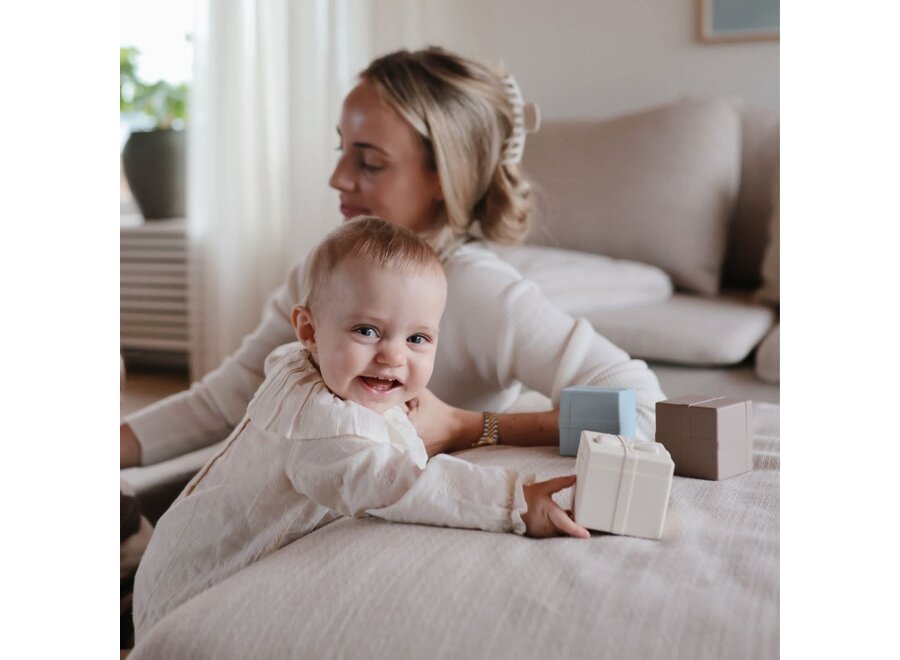 Mix & Match - Present toy