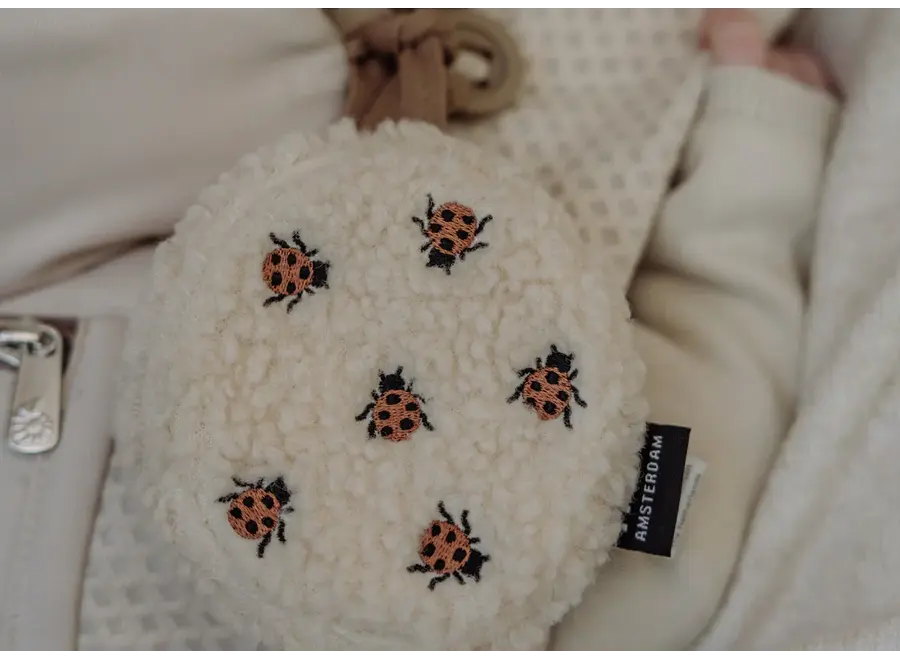 Ted - Comforter on the go ladybug