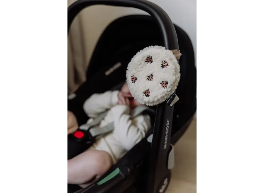 Ted - Comforter on the go ladybug