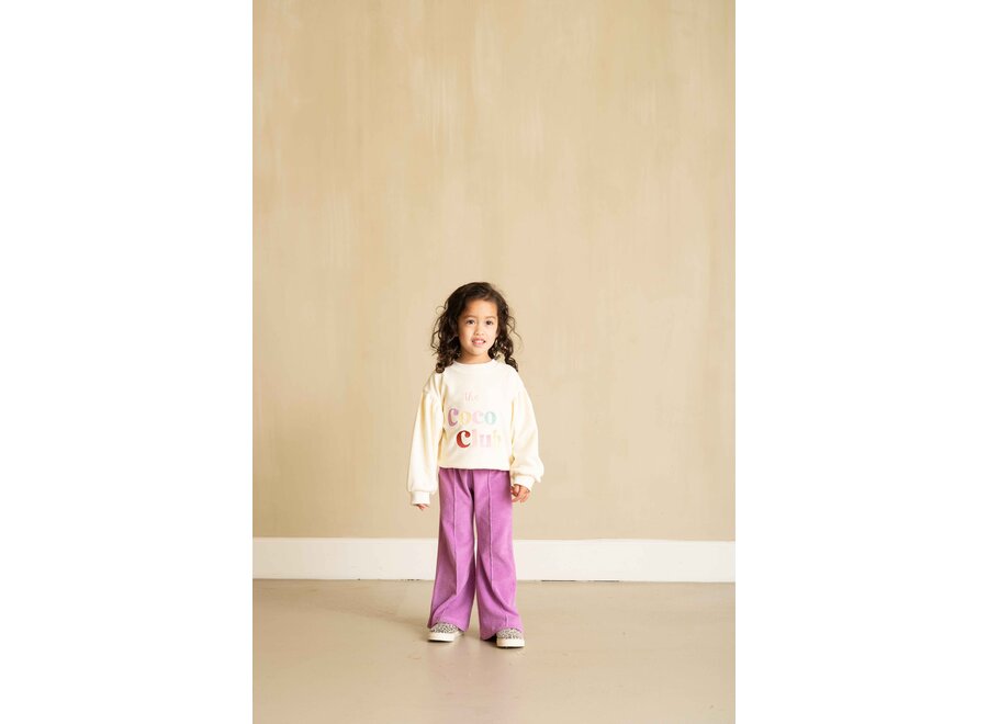 Flared pants - Violet