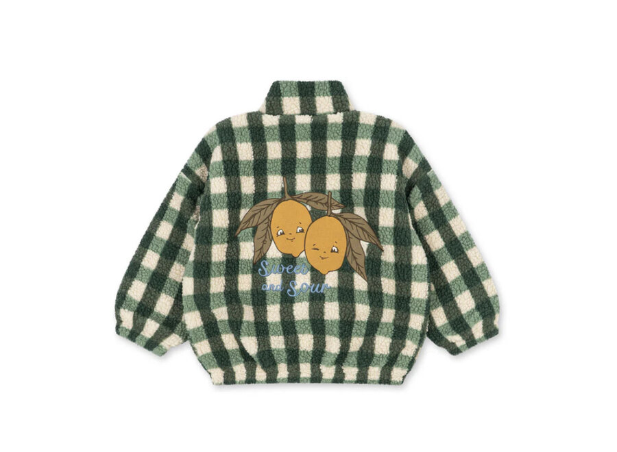 Jody teddy jacket - Green check