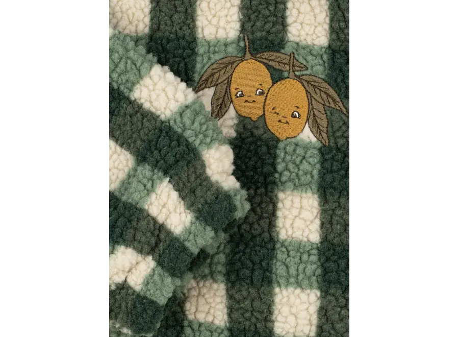 Jody teddy jacket - Green check