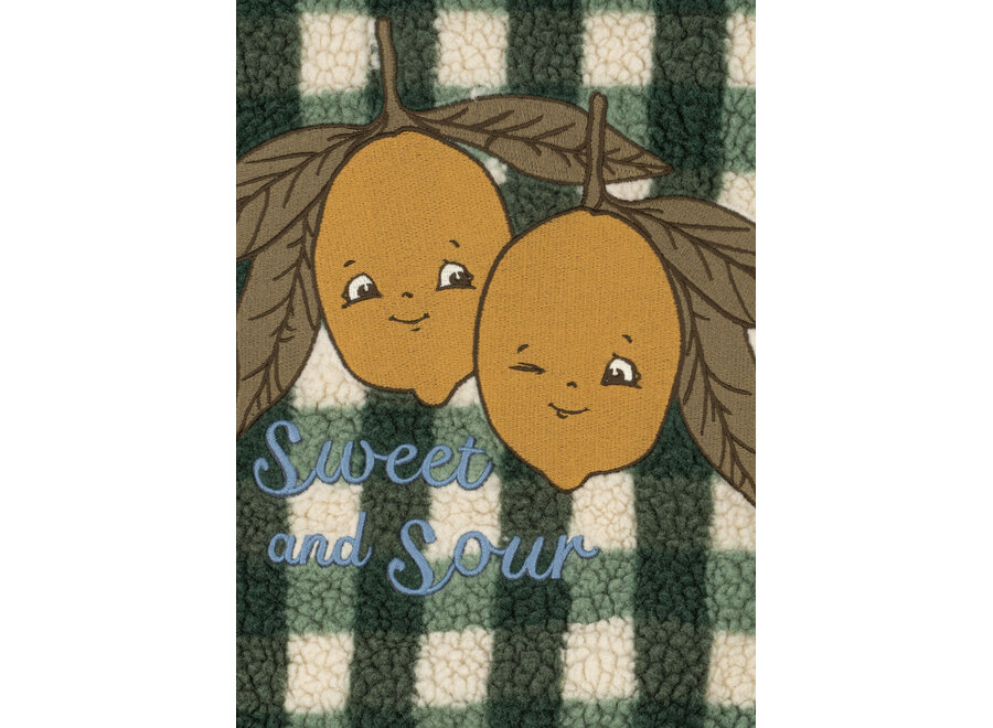 Jody teddy jacket - Green check