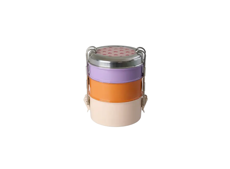 Lunchbox roestvrij staal - Hearts multi color
