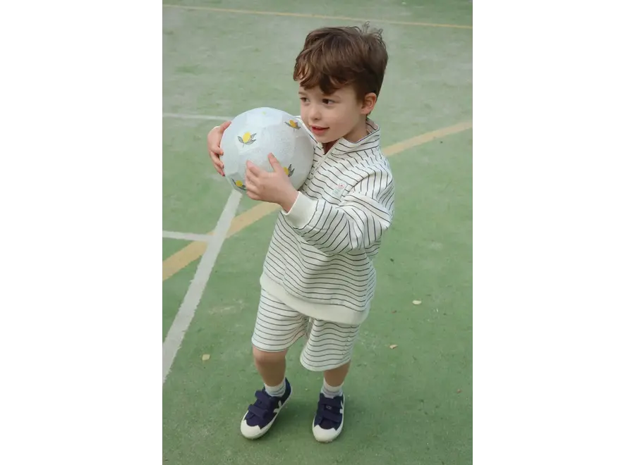 Lou stripe half zip sweat - Flinstone stripe