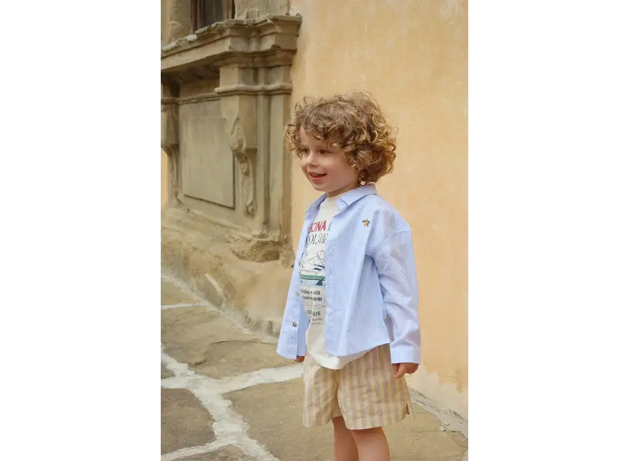 Wes shirt - Blue stripe