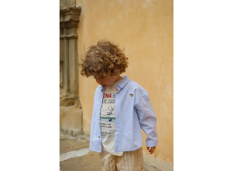 Wes shirt - Blue stripe