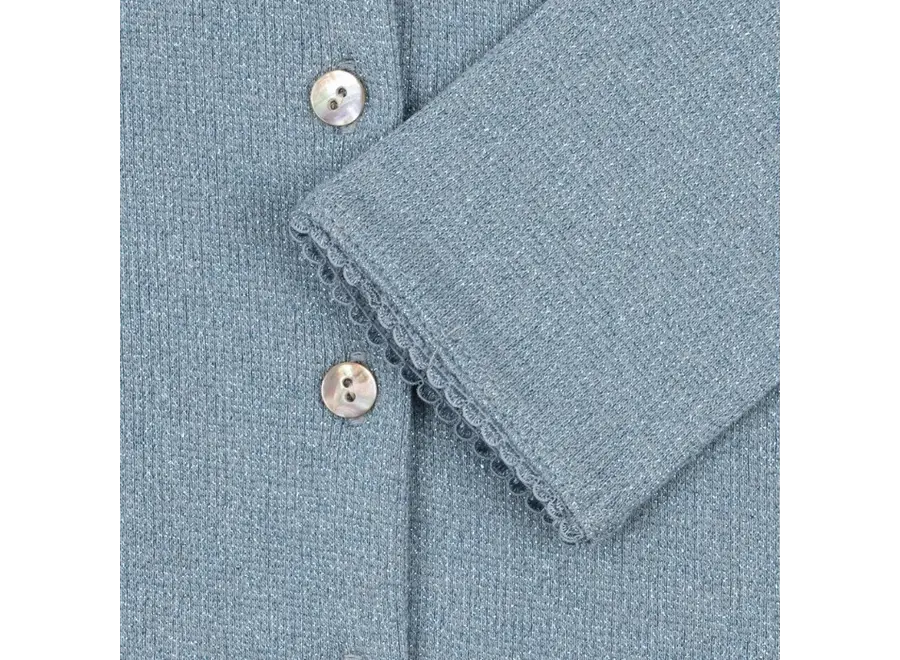 Roli cardigan - Sleet