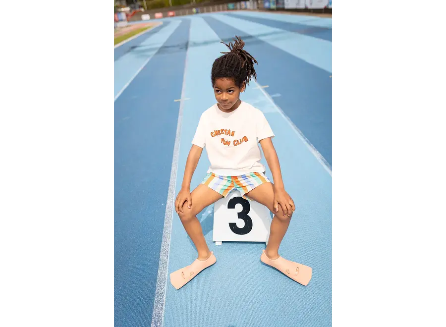 Swim shorts multi stripes - Sand