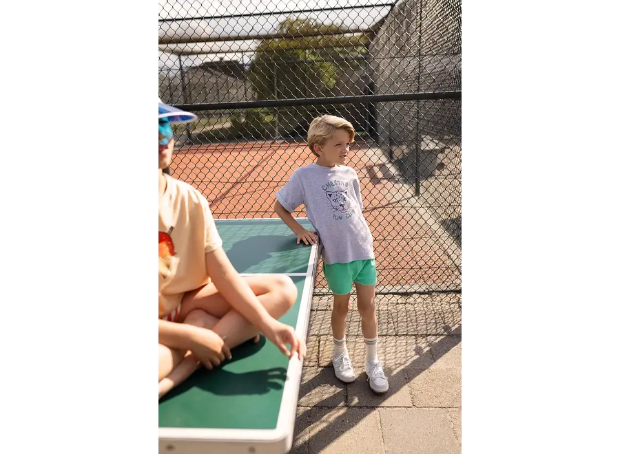 Terry sport shorts - Jade green