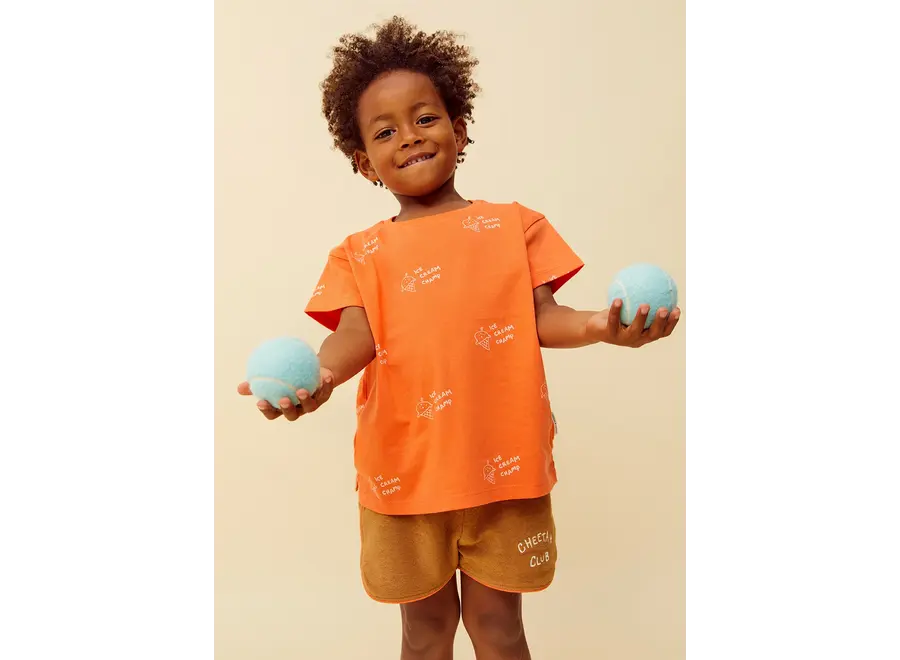 Terry sport shorts - Tabacco