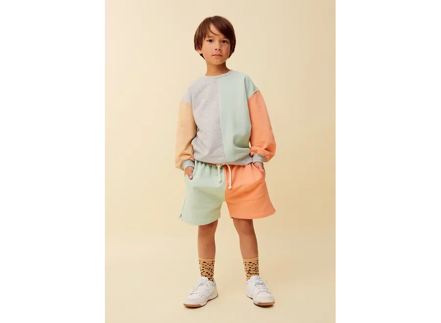 Sweatshirt colourblock - Silt green