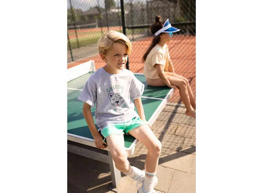 Terry T-shirt - Cheetah - Grey Melee