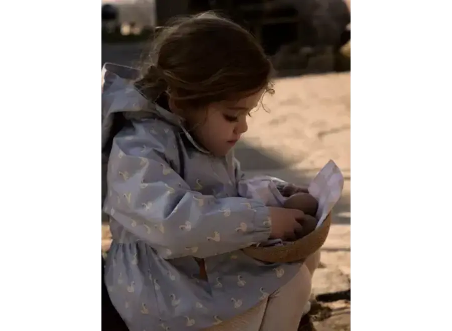 Gudrun jacket - Zen blue/ Swan print