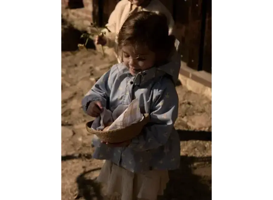 Gudrun jacket - Zen blue/ Swan print