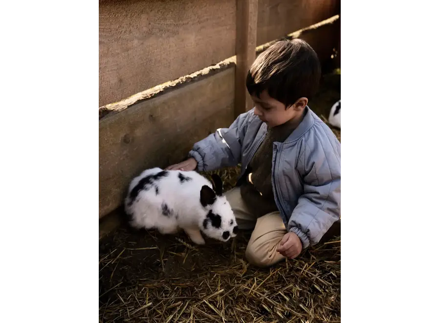 Lio bomber jacket - Tradewinds/ Whale