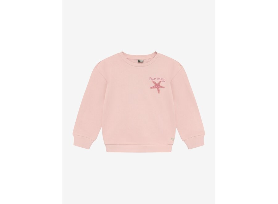 Sweater backprint - Silver pink