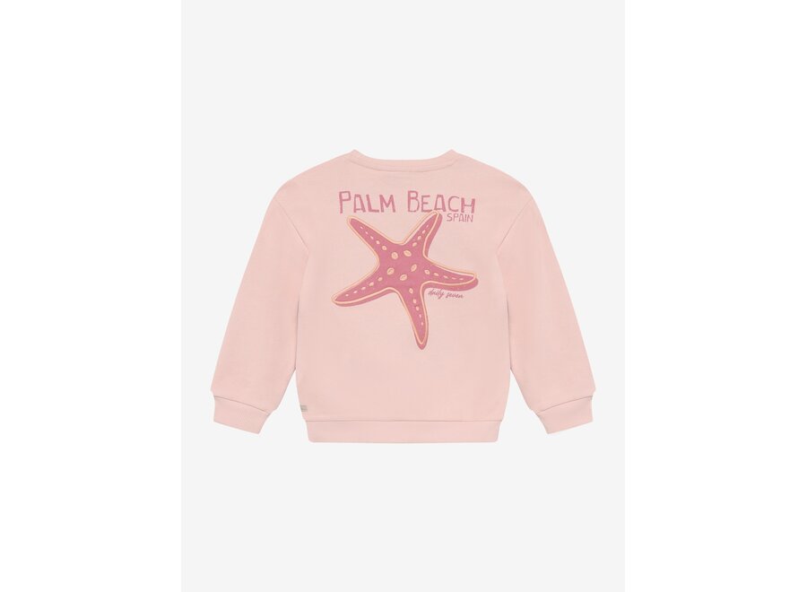Sweater backprint - Silver pink