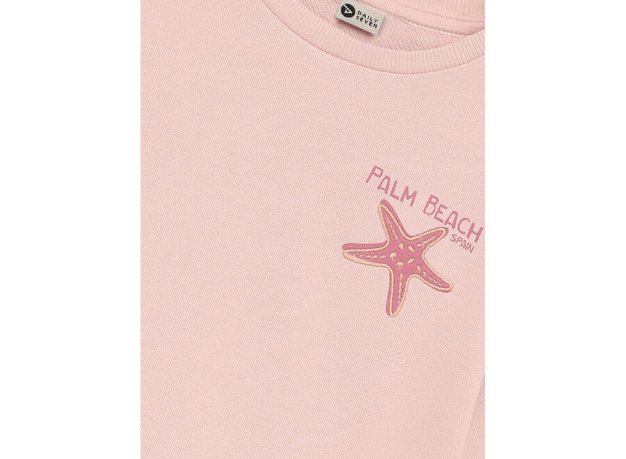 Sweater backprint - Silver pink