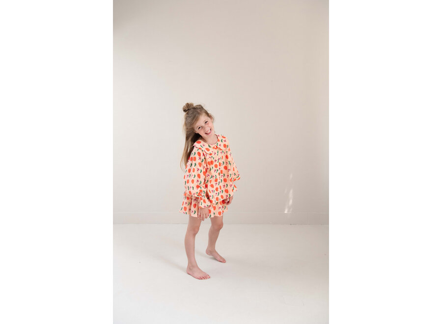 Emmy blouse - Bird AOP peach orange