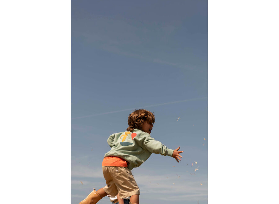 Happy bird sweater - Sage green