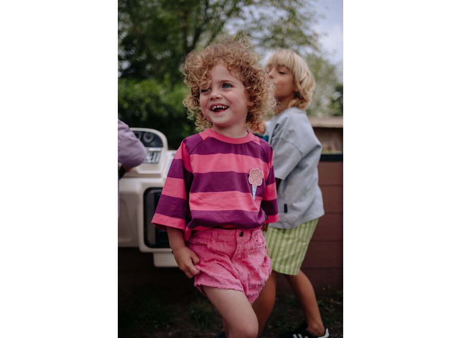 Striped ice cream - Plum